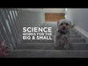 Hills Science Diet Hairball Control Adult Dry Cat Food 4kg