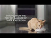 Hills Science Diet Adult Indoor Savoury Chicken Entrée Canned Cat Food 156g