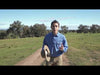 Balanced Life Grain Free Air Dried Kangaroo Tail Twist Dog Treat 12 Inch