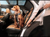 EzyDog Drive Click Travel Dog Lead
