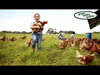 Green Valley Grains Wild Bird Mix Seed 5kg (+_+)