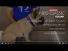EzyDog Classic Neoprene Dog Collar Grey Extra Large***