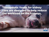 Hills Prescription Diet Dog k/d Kidney Care Chicken Wet Food 370g x 12